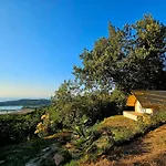 Forrest Garden - Where Nature Meets Comfort *