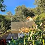 Forrest Garden - Where Nature Meets Comfort