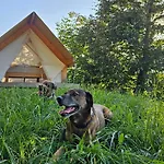 캠프장 Forrest Garden - Where Nature Meets Comfort 포르토로즈