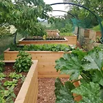 Forrest Garden - Where Nature Meets Comfort 포르토로즈