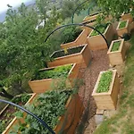 Forrest Garden - Where Nature Meets Comfort *