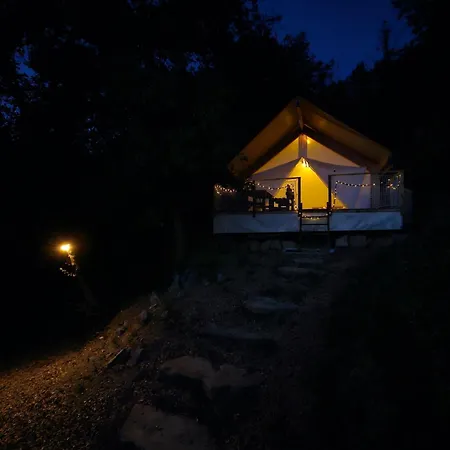 Forrest Garden - Where Nature Meets Comfort Kamp *