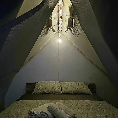 Forrest Garden - Where Nature Meets Comfort