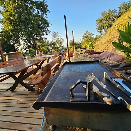 Forrest Garden - Where Nature Meets Comfort *