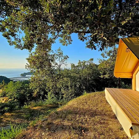 Forrest Garden - Where Nature Meets Comfort