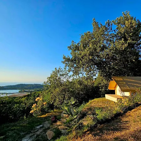 Forrest Garden - Where Nature Meets Comfort *