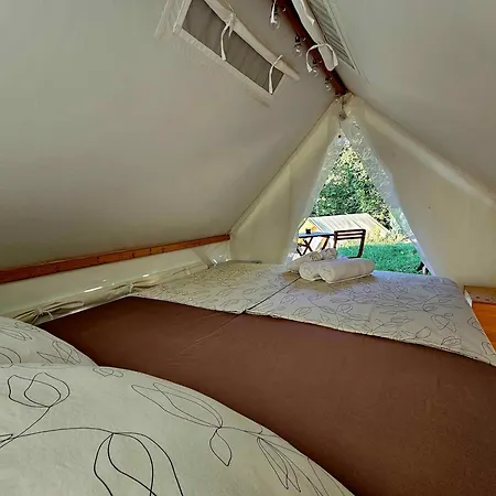 Forrest Garden - Where Nature Meets Comfort *